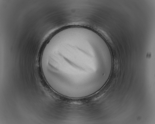 X0000091850628200710031641