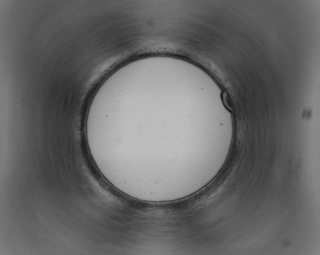 X0000091850629200710031641