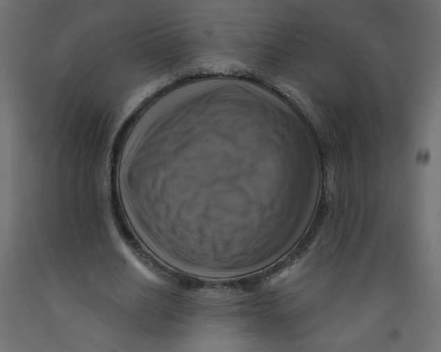 X0000091850630200710031641