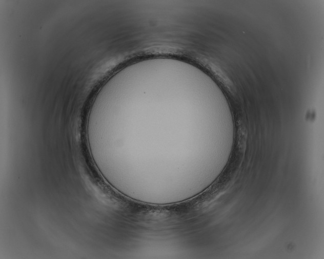 X0000091850631200710031641