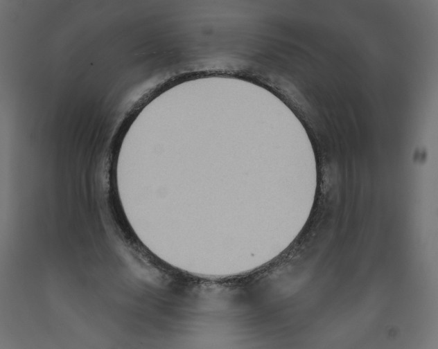 X0000091850632200710031641