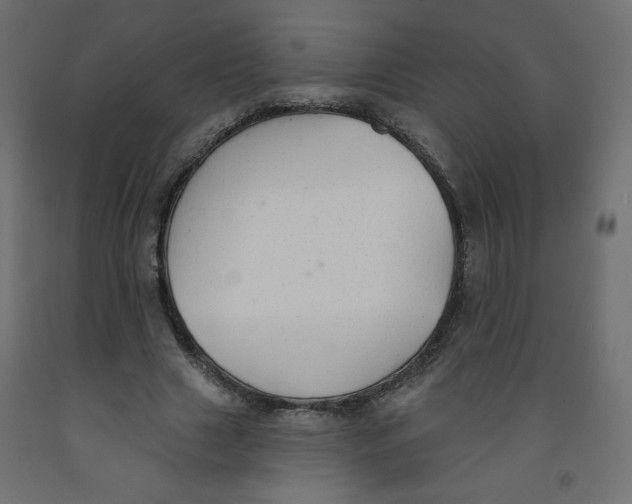 X0000091850633200710031641