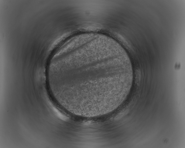 X0000091850634200710031641