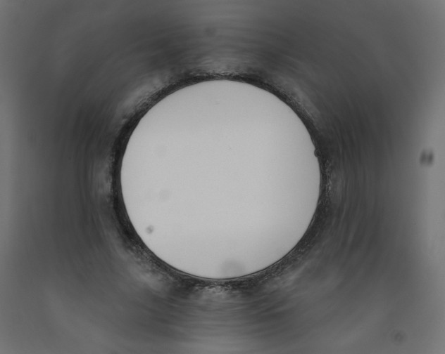 X0000091850635200710031642