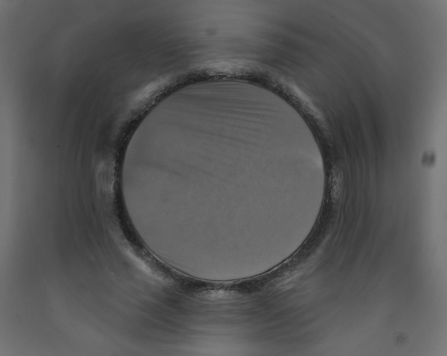 X0000091850637200710031642