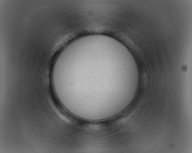 X0000091850638200710031642