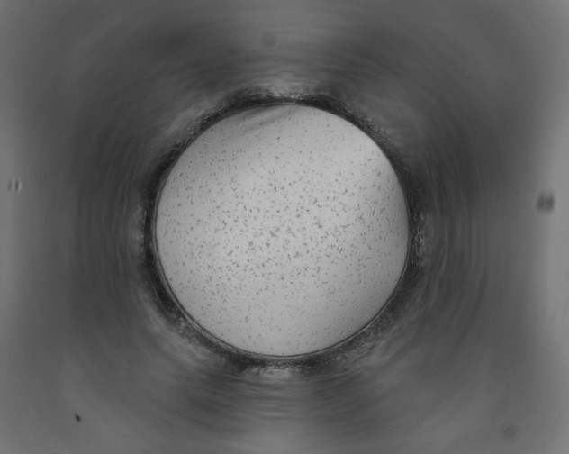 X0000091850639200710031642