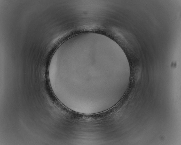 X0000091850640200710031642