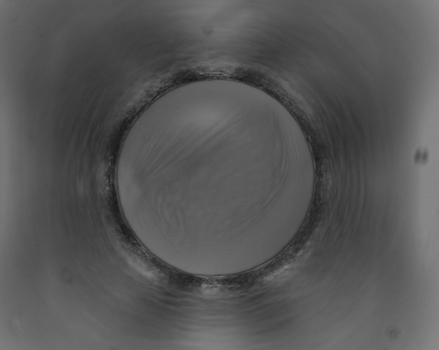 X0000091850641200710031642
