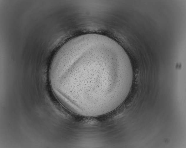 X0000091850642200710031642