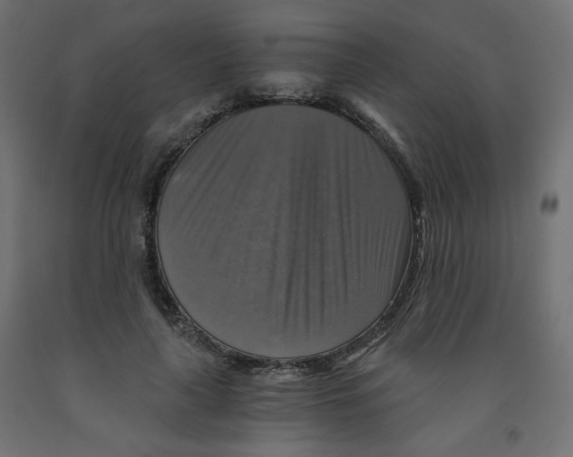 X0000091850643200710031642