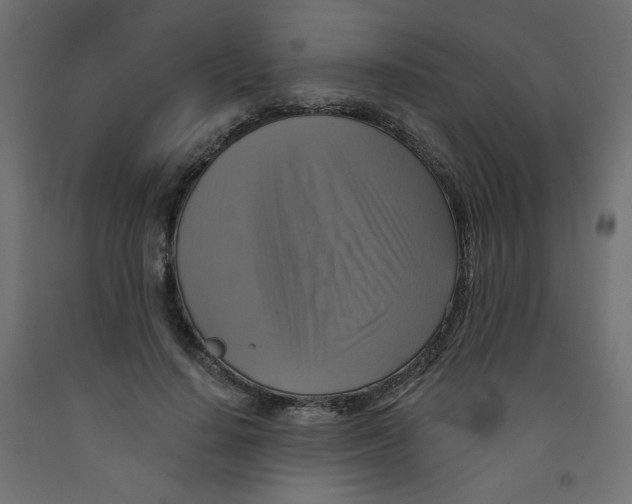 X0000091850644200710031642