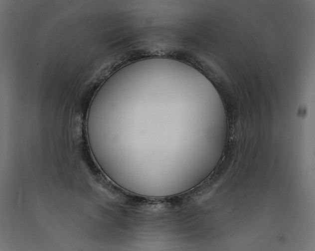 X0000091850646200710031642