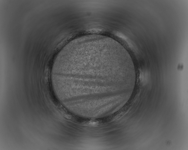 X0000091850647200710031642