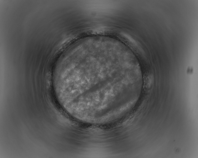 X0000091850648200710031642