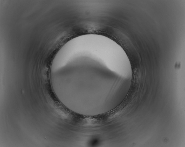 X0000091850650200710031642