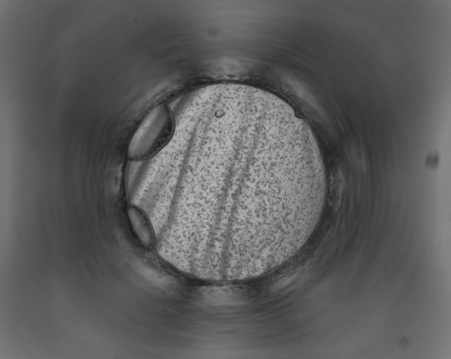 X0000091850652200710031642
