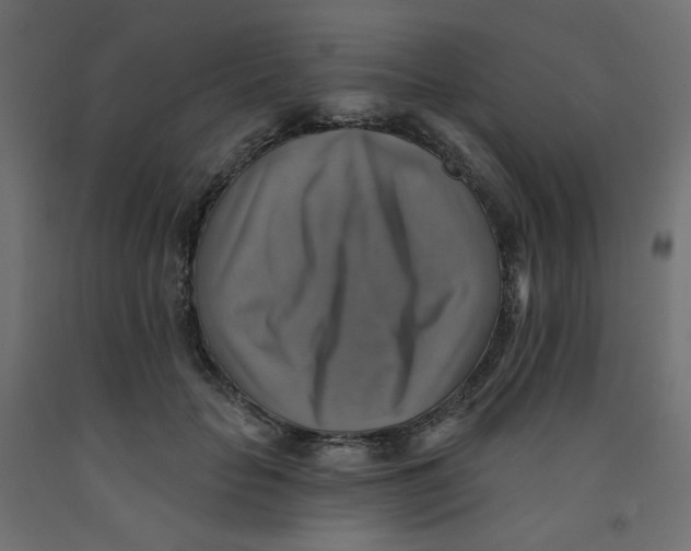 X0000091850653200710031642