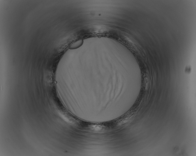 X0000091850654200710031642