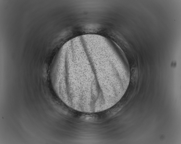 X0000091850655200710031642