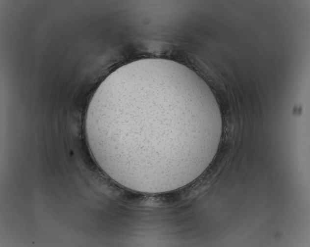 X0000091850656200710031642