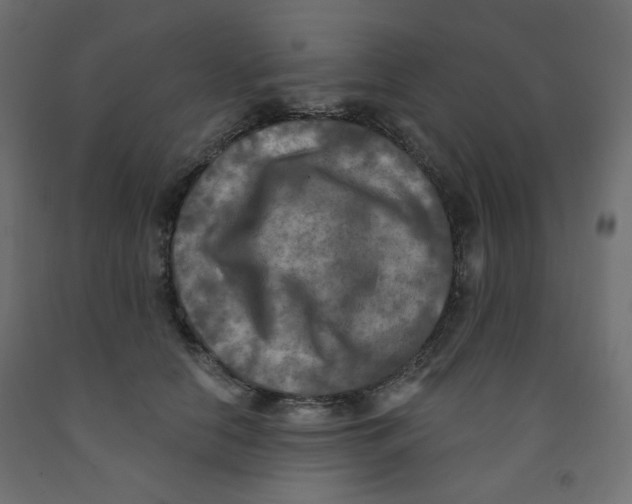 X0000091850658200710031642