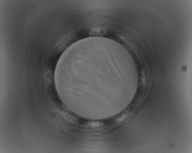 X0000091850659200710031642