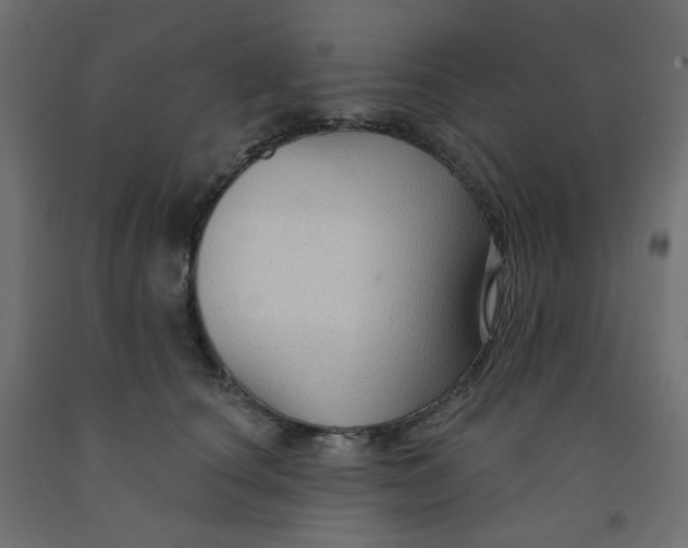 X0000091850660200710031642