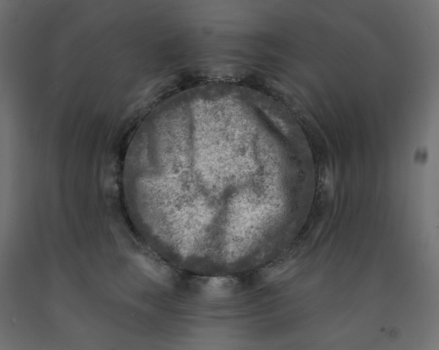 X0000091850663200710031642