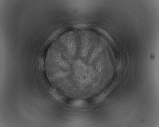 X0000091850669200710031642