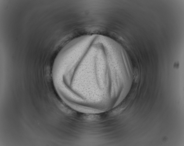 X0000091850670200710031642