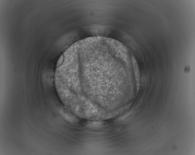 X0000091850671200710031642