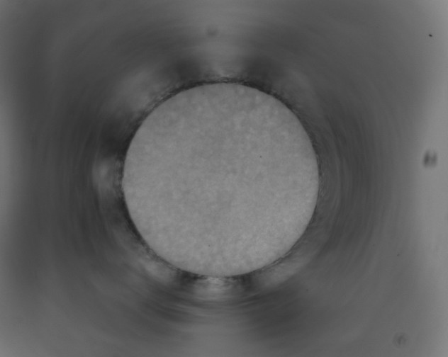X0000091850672200710031642