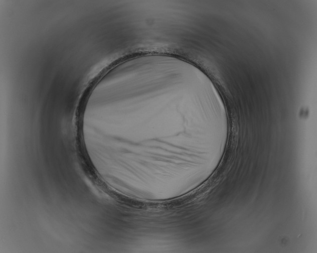 X0000091850674200710031641