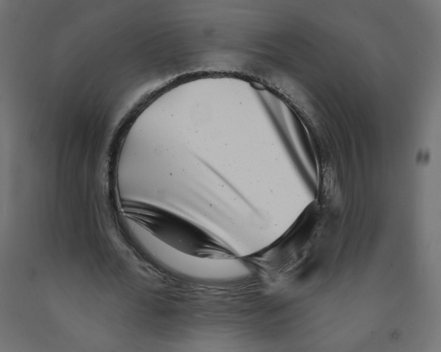 X0000091850676200710031641