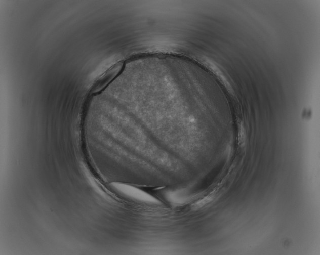 X0000091850677200710031641