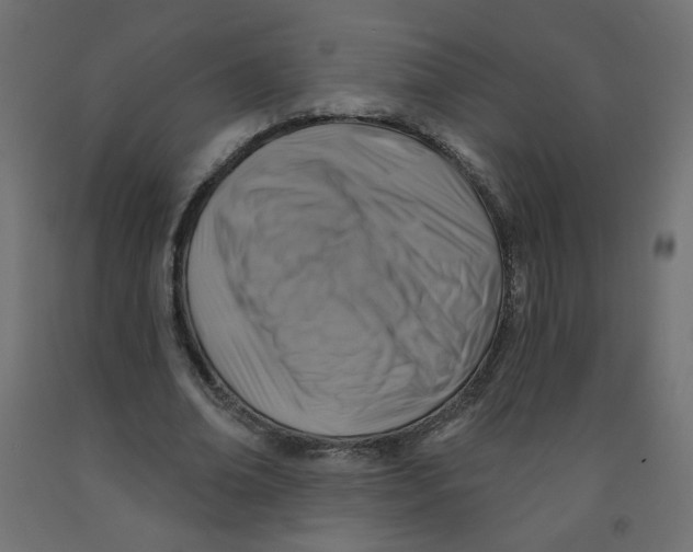 X0000091850678200710031641