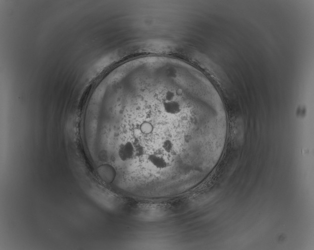 X0000091850679200710031641