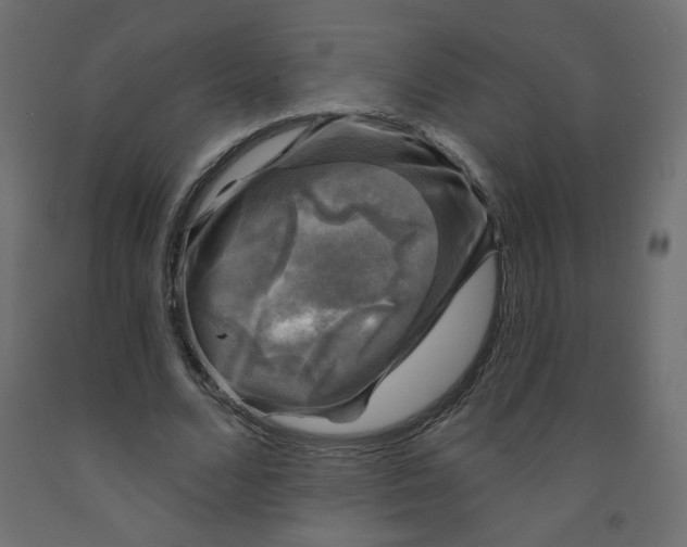 X0000091850680200710031641