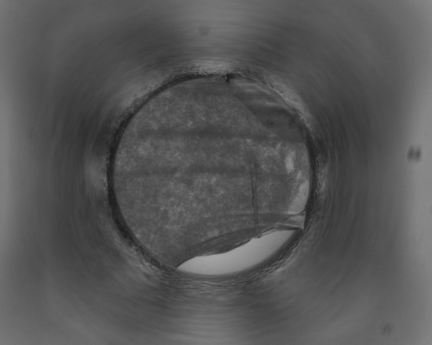 X0000091850681200710031641