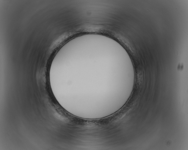 X0000091850682200710031641