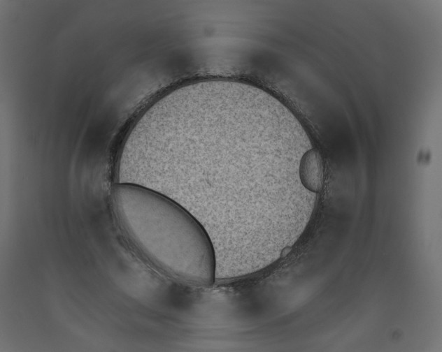 X0000091850683200710031641