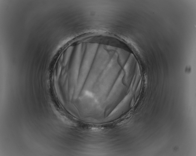 X0000091850684200710031641