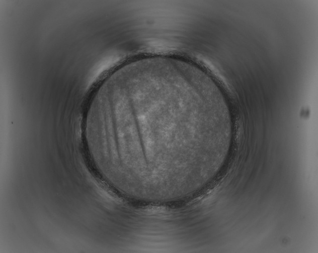 X0000091850685200710031641