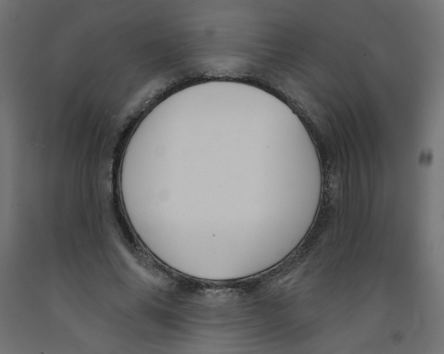 X0000091850686200710031641