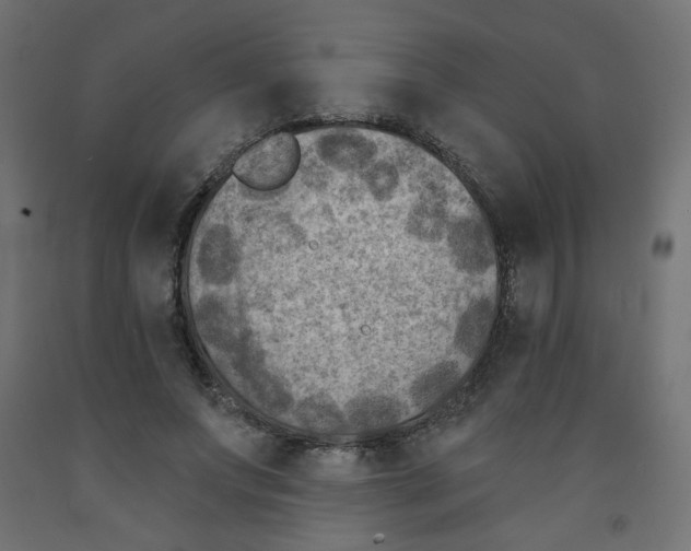 X0000091850687200710031641