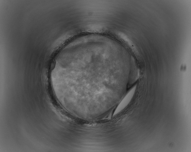 X0000091850688200710031641
