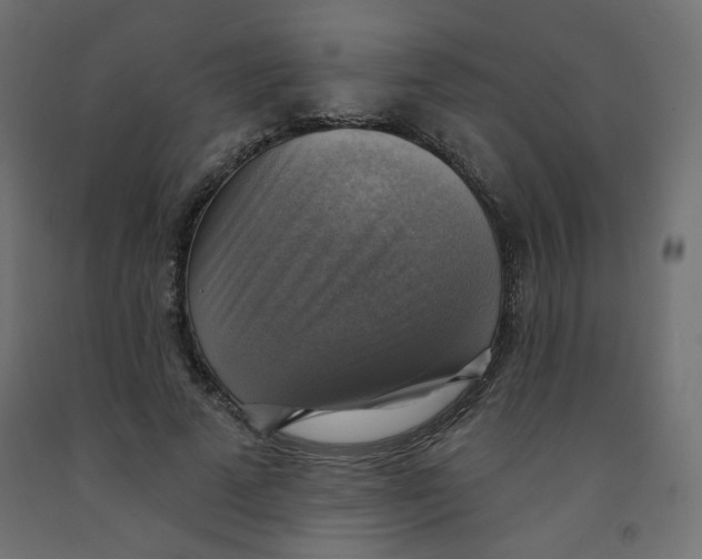 X0000091850689200710031641