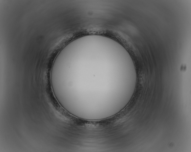 X0000091850690200710031641