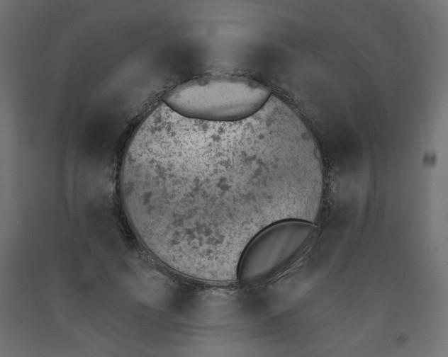 X0000091850691200710031641